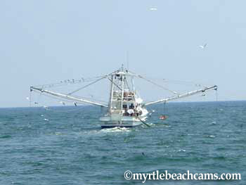 Shrimp boats on the ocean